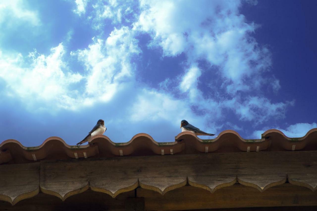 Toong Homestay Ha Giang Exterior photo